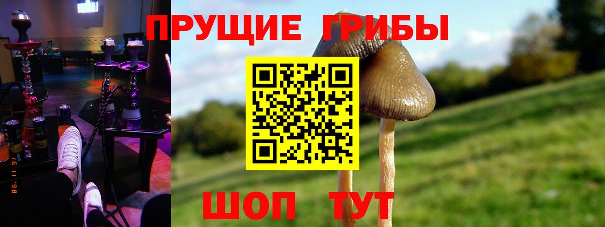 Псилоцибиновые грибы Psilocybine cubensis  Вход с VPN  Строитель 